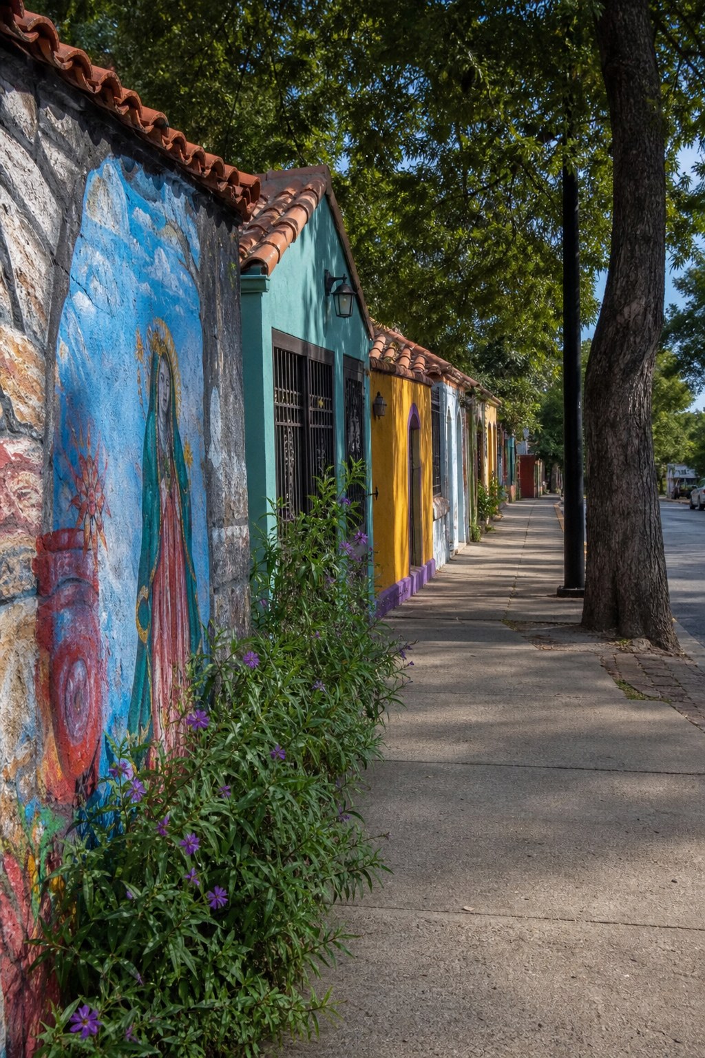 Avenida Guadalupe